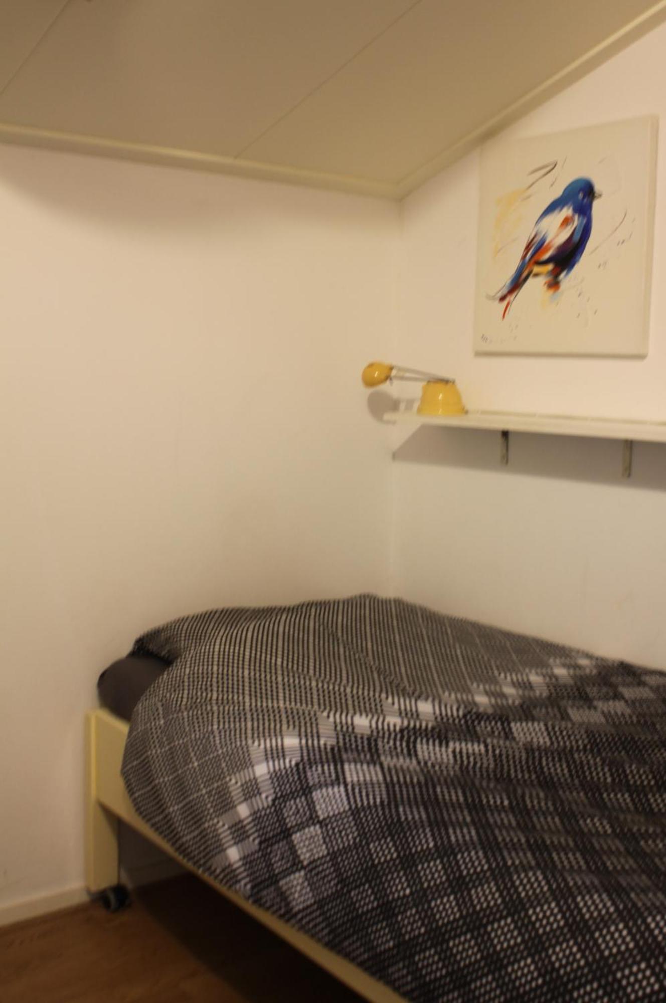 Boerenkiel Vakantiehuisjes De Kiel Екстериор снимка